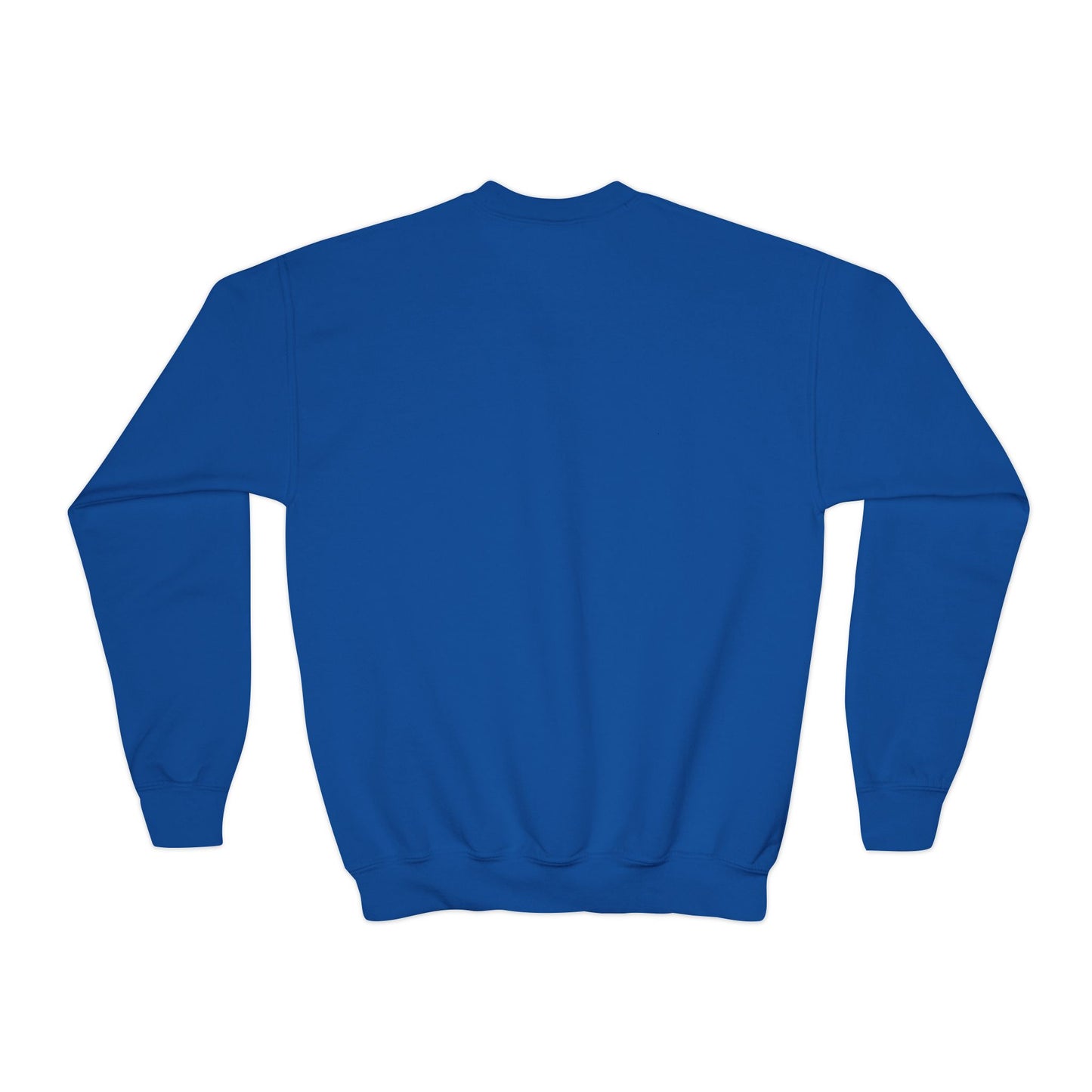 Youth Crewneck Sweatshirt — “I’d Chirp You… But I’m Busy Whining”