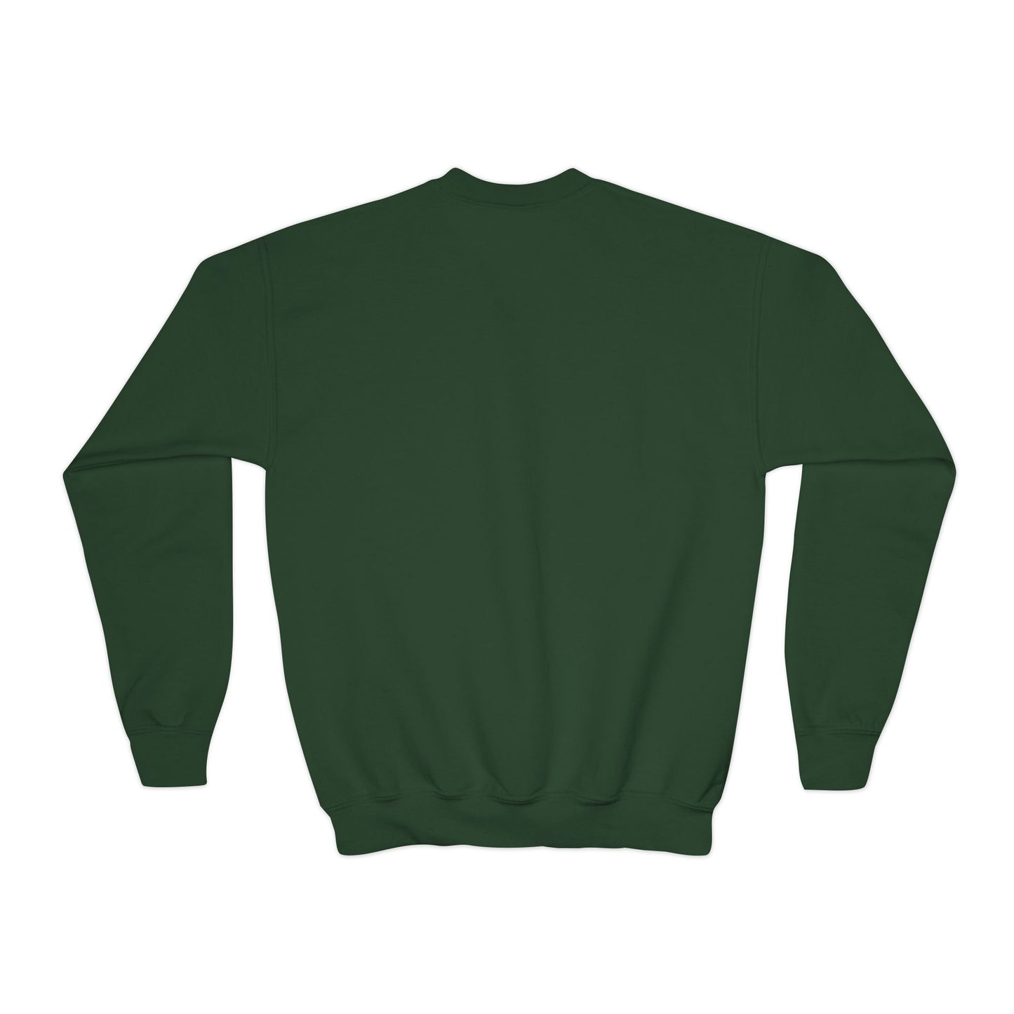 Youth Crewneck Sweatshirt — “I’d Chirp You… But I’m Busy Whining”